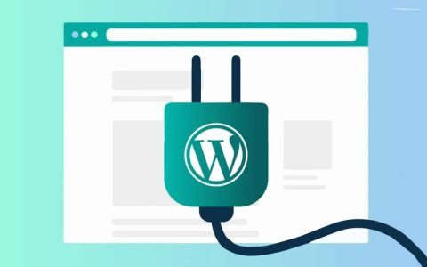 深入了解WordPress 插件定制开发的优势及陷阱